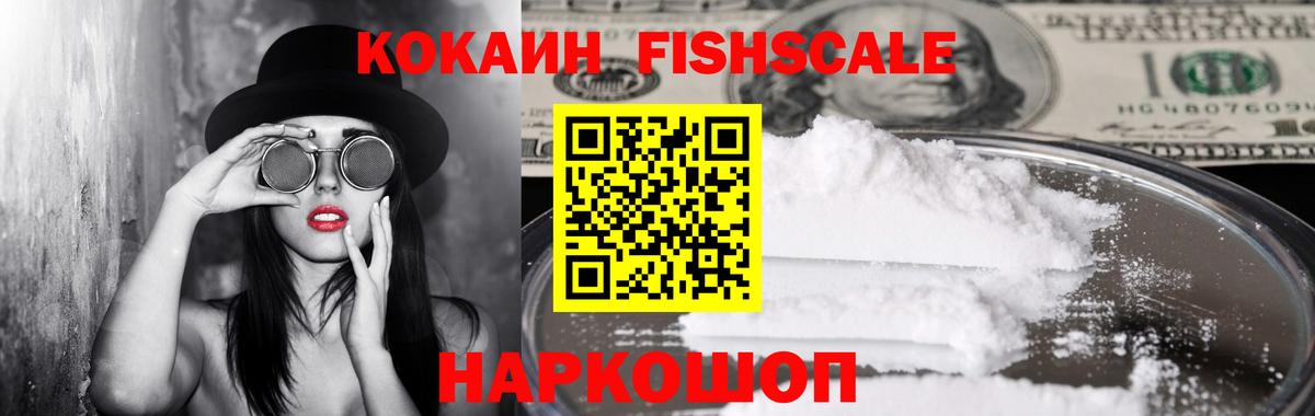 COCAIN Fish Scale  Cocaine Fish Scale  Вход с VPN  Пугачёв 