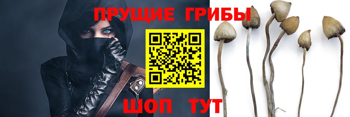 Псилоцибиновые грибы мухоморы Пугачёв